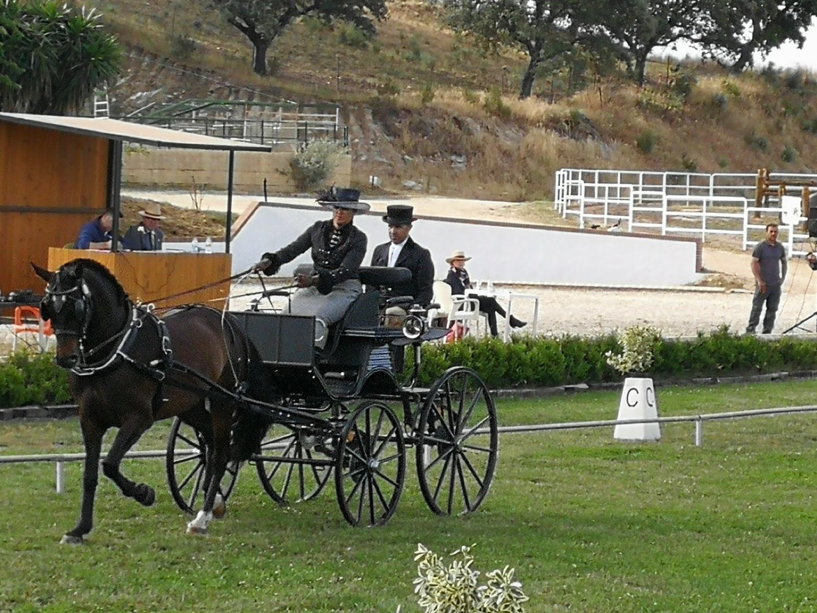 Excelente representación Navarra en la Copa S.M. el Rey de Enganches 2018